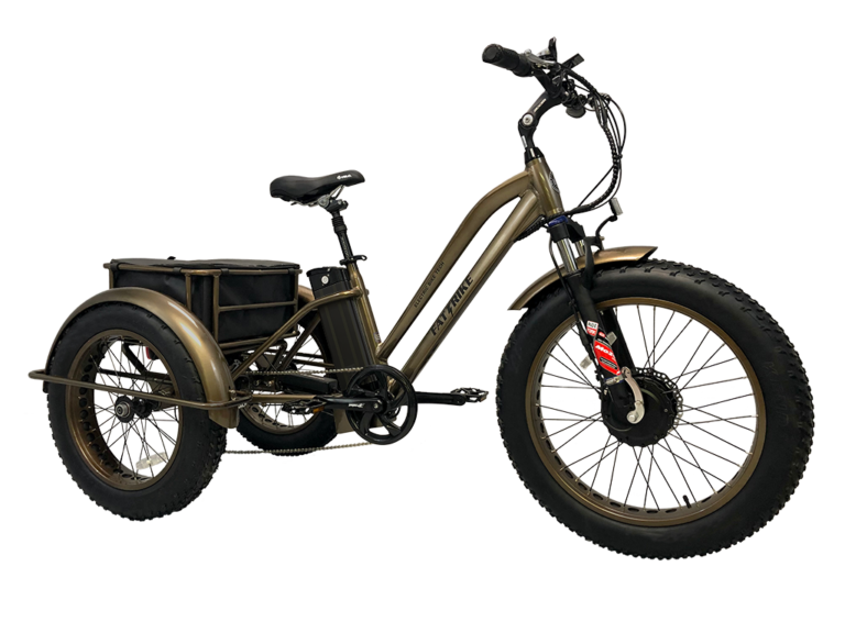 Hovsco Offers the Best Electric Trike Bike—Buy One Of Them